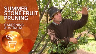 How to prune stone fruit trees in summer [upl. by Carlita]