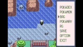 Pokemon RubySapphireEmerald  Where to catch Pokemon 320 Wailmer [upl. by Hareenum819]