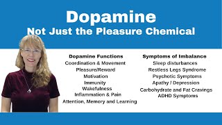 Demystifying Neurotransmitters Serotonin Dopamine and Beyond [upl. by Aniez]