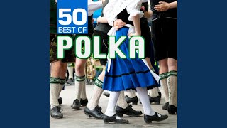 Rheinländer Polka [upl. by Rhianna]