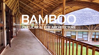 Bamboo  The ideal material for circular and eco architecture [upl. by Sirtimed]