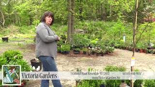 Planting Your Garden with Deer Resistant Plants [upl. by Flavius]