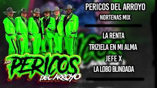 Los Pericos Del Arroyo  Nortenas Mix  Desde El Norte De Amarillo Tx 2024 [upl. by Niwde]