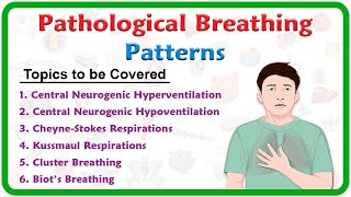 Pathological breathing  Abnormal breathing patterns  Kussmaul Cheyne stokes Biots Cluster [upl. by Darrill]