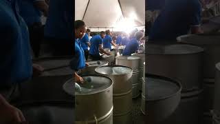 Melodians Steel Orchestra  Bees Melody [upl. by Selrahcnhoj]