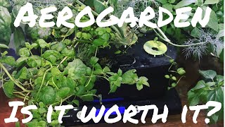 Aerogarden Full 3 Month Review w tips [upl. by Demp]