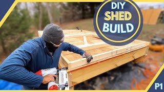 My DIY Shed Build An Unforgettable Experience  P1 [upl. by Ised]