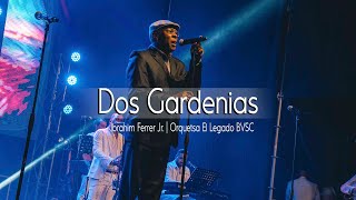 Dos Gardenias  Ibrahim Ferrer Jr Orquesta El Legado Bvsc [upl. by Brock]