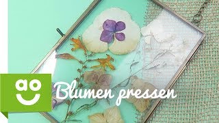 Blumen pressen mit dem Bügeleisen [upl. by Petronille]