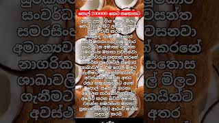 පොල් 200000හෙට සතොසට news Coconuts 200000Tomorrow Sathosa breakingnews thanews [upl. by Yenoh]