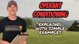 Operant Conditioning In Dog Training Explained With EXAMPLES [upl. by Kaine]