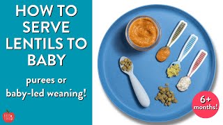 HOW TO SERVE LENTILS TO BABY [upl. by Gabler]