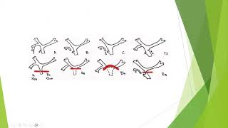 biliary leaks  approach to diagnosis and treatment [upl. by Carola]