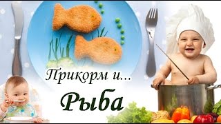 КАКУЮ РЫБУ можно давать РЕБЕНКУ с 8 месяцев до года в прикорм [upl. by Aer]