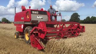 Massey Ferguson 520 Combine Harvester [upl. by Yaner149]