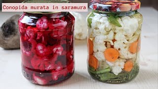 Conopida murata in saramura 1 singura reteta 2 variante alb si roz  🥣 Lecturi si Arome [upl. by Mckinney]