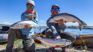 Timing for Kokanee Success [upl. by Stoughton]