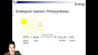 Exergonic vs Endergonic Reactions [upl. by Reffinej]