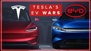 The TRUTH About Chinese BYD amp Tesla  Which Is The Best [upl. by Elleinad591]