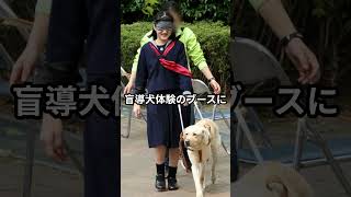 愛子さまのお小遣いのあまりにも素晴らしすぎる使い道 shorts 愛子さま 天皇陛下 皇室 [upl. by Nifares]