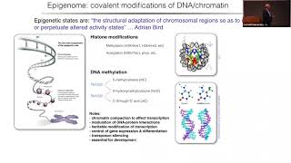 Joe Ecker Epigenomics of Neuron Diversity and Connectivity in the Mammalian Brain [upl. by Adiesirb]