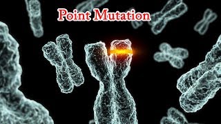 Point Mutation Nonsense mutation Missense mutations Silent mutations [upl. by Weisman]