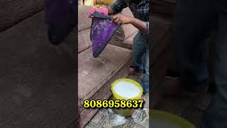 Sofa Cleaning Team calicutfoodmaniac kozhikode cleaning deepcleaning [upl. by Arlan]