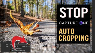 Prevent Cropping in Capture One [upl. by Accemahs]