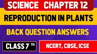 Reproduction in Plants Class 7 Science MagnetBrainsEducation NCERT CBSE ICSE Chapter 12 [upl. by Adnanref307]