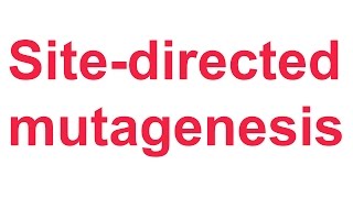 Tutorial 4 QuikChange sitedirected mutagenesis Stratagene [upl. by Guntar]