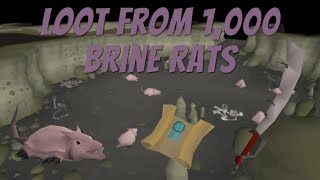 Loot from 1000 Brine Rats OSRS [upl. by Assenav]