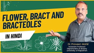 Flower bract and bracteoles in hindi  Dr Praveen Mohil Sir [upl. by Ahsiemat]