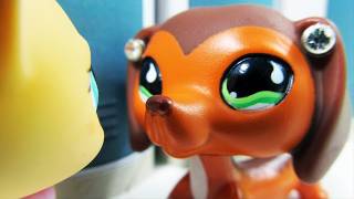 Littlest Pet Shop Popular Episode 12 The Rise and Fall of Brooke Hayes [upl. by Kit]