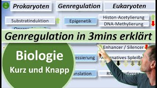 Genregulation bei Prokaryoten und Eukaryoten in 3mins erklärt  Biologie kurz und knapp  BioIxi [upl. by Alleyne194]