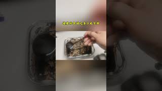 健康减脂甜点：无糖无麸质的燕麦片香蕉可可小食！ 简单美味 food 简易食谱 cooking 简单美食 做法 食譜 cake potatodishes chocolate [upl. by Llenral]