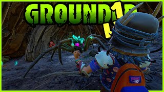 We Have A MASSIVE Problem  GROUNDED  1 Life Only Episode 21 [upl. by Tiersten]