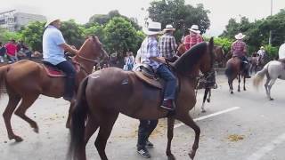 Cabalgata Horse Parade at the Feria de las Flores Flower Festival in Medellin Colombia [upl. by Eyt600]