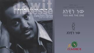 Dawit Mellesse  Anchin New ዳዊት መለሰ  አንቺን ነው [upl. by Duhl]