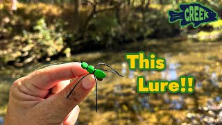 Fall TOPWATER Creek Fishing Bug Lure [upl. by Ameer]