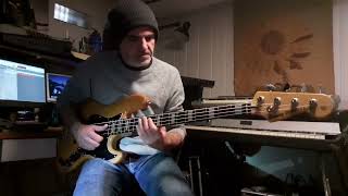 Peter Gabriel  Digging in the dirt  Tony Levin Bass Cover Us 1992 [upl. by Bahe]