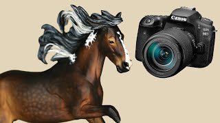 How to PHOTOGRAPH Your BREYER Model Horse CUSTOMS [upl. by Hairem517]