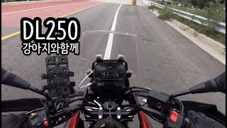 강아지와 논산 탑정호 SUZUKI V STROM 250 RIDE [upl. by Griselda882]