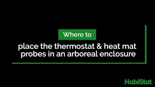 Where to place the thermostat and Heat Mat probe in an arboreal enclosure [upl. by Pepper935]