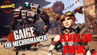 Beginners Guide to Gaige the Mechromancer  Level 30 Guide  Borderlands 2 [upl. by Ehtyaf]