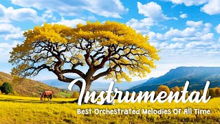 The Orchestrated Melodies Of All Time  2 HORAS BEST INSTRUMENTAL from 1960  1970  1980 [upl. by Evangelina]