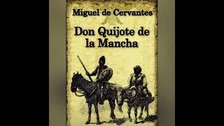 Capítulo 41 Audiolibro Don quijote de la mancha Donde todavía prosigue el cautivo su suceso [upl. by Kenweigh]