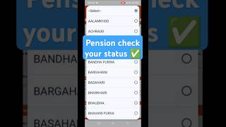 old age pension up online apply 2024 budhapa pension kaise apply kare  bridha pension online 2024 [upl. by Madelaine712]