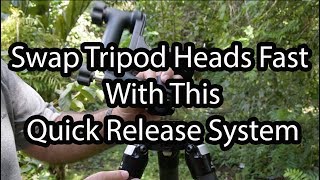 Swap Tripod Heads The Fast Way [upl. by Enened]