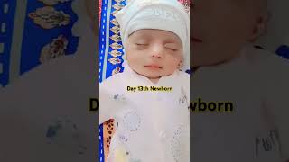 Newborn Baby Day 13th MashaAllah shorts shortsfeed youtubeshorts viralvideo tiktok bts baby [upl. by Okiruy852]