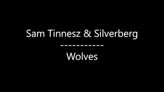 Sam Tinnesz amp Silverberg  Wolves Lyrics [upl. by Annawik476]